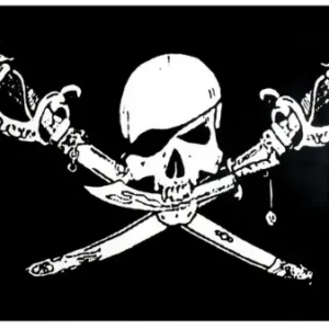 Brethern of the Coast Flag