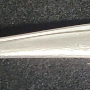 Shasta Stainless Steel Pattern c1958