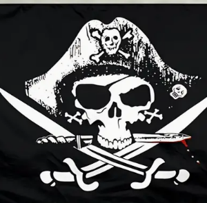 Pirate Treasure Flag